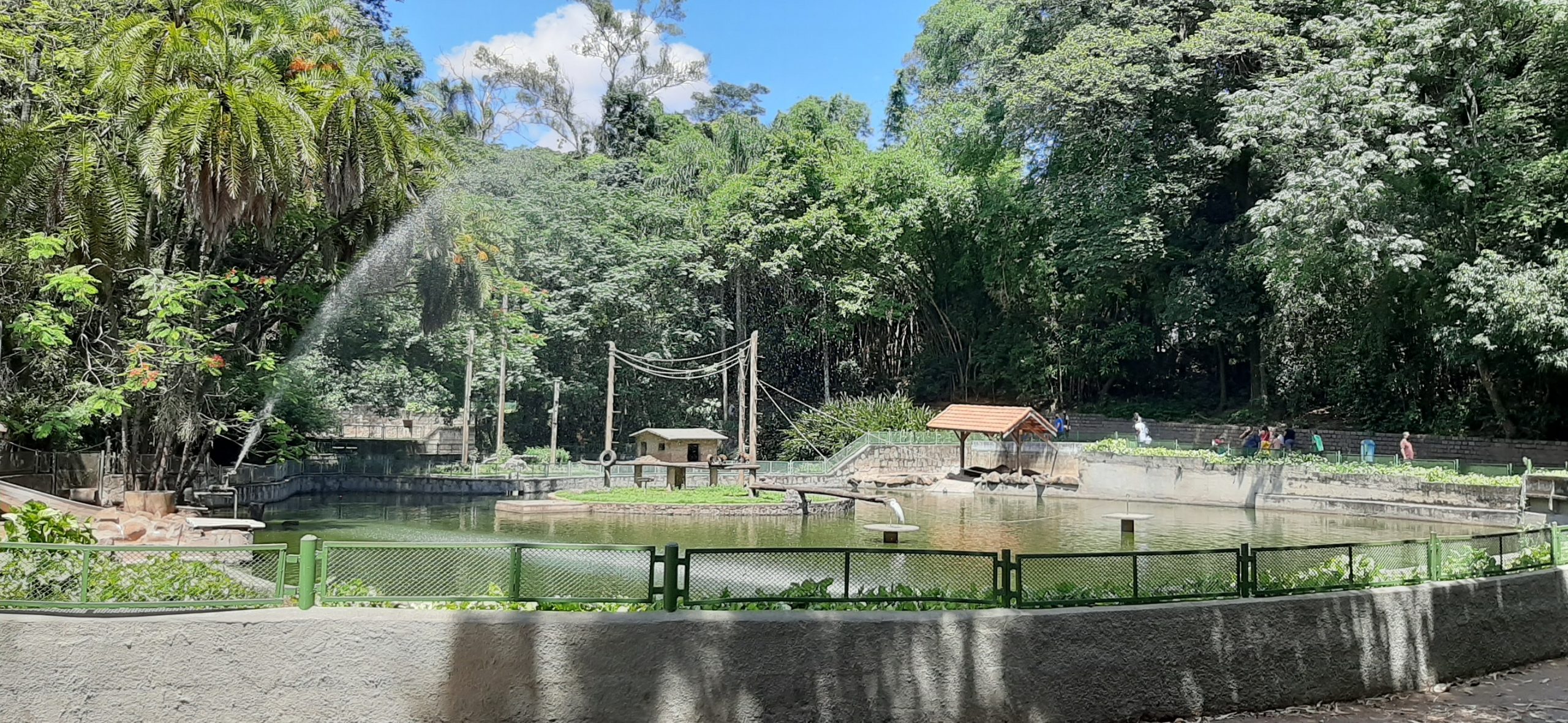 Bosque dos Jequitibás excelente para passar o dia- Campinas/SP ...